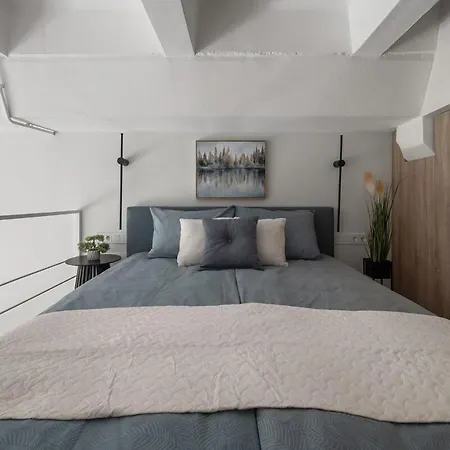 Loft 12 公寓 维尔纽斯