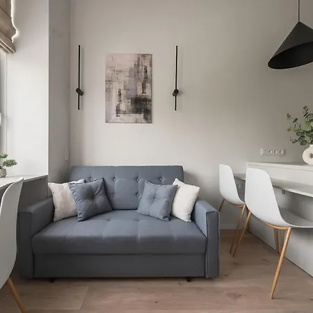 公寓 Loft 12 维尔纽斯