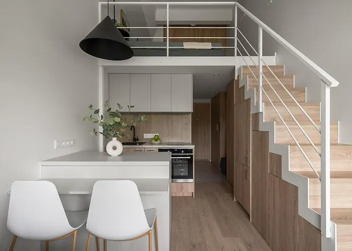 Loft 12 דירה וילנה